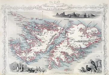 Falklandeilanden en Patagonië, uit een serie wereldkaarten gepubliceerd door John Tallis und Co., New York und Londen, 1850s